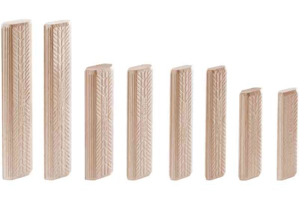 Domino, beech D 8x80/190 BU