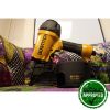 Stanley Bostitch Flat Coil Nailer (32-64mm) N66C-2-E - Image 8