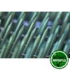 Flat Ring Coil Nails - Image 3