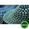 Conical Coil Nails - Image 3