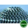 Conical Coil Nails - Image 6