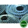 Stainless Steel Coil Nails (22-50mm) - Image 5