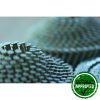 Stainless Steel Coil Nails (22-50mm) - Image 6